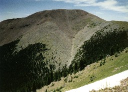 Old Baldy